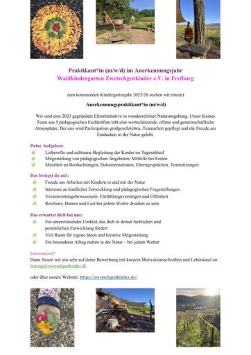 Anerkennungsjahr beim Waldkindergarten Zwetschgenkinder in Freiburg